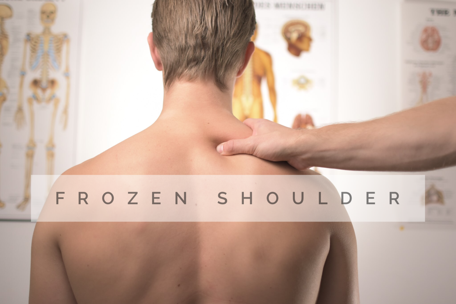 Does Frozen Shoulder Massage Therapy Work? : World Frozen Shoulder Clinic