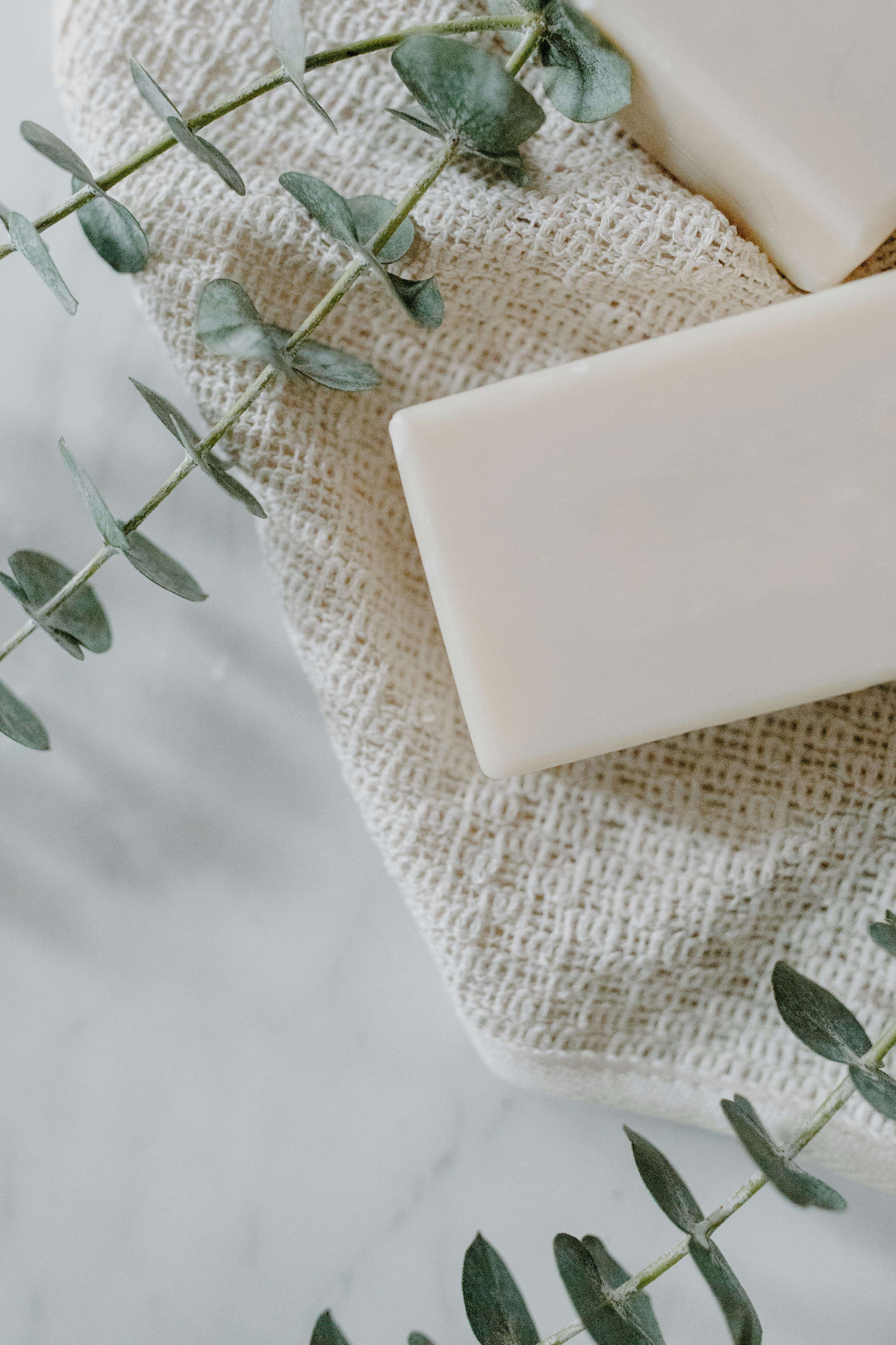 beef tallow soap